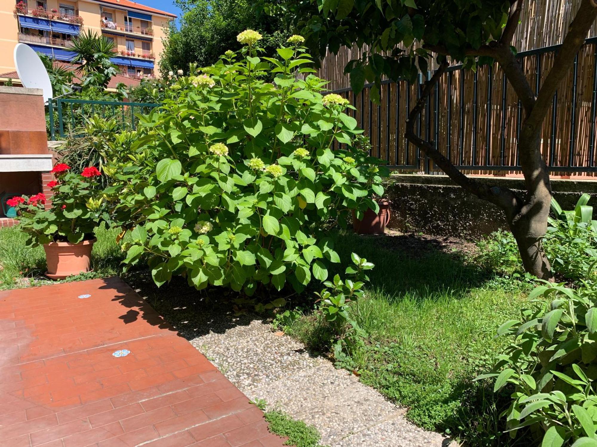 Il Giardino Dei Limoni Lägenhet Chiavari Exteriör bild